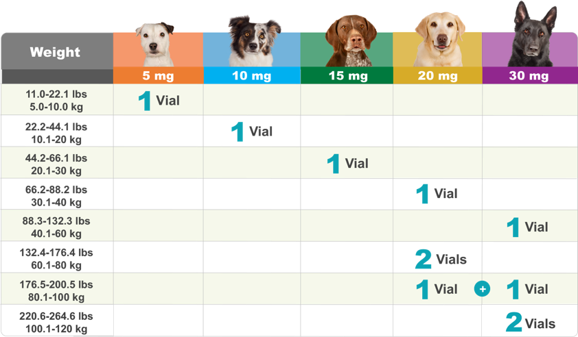 gabapentin dose for dogs chart